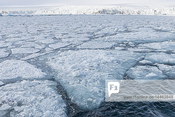 Palanderbukta-Bucht  Packeismuster  Gustav-Adolf-Land  Nordaustlandet  Svalbard-Archipel  Arktis  Norwegen