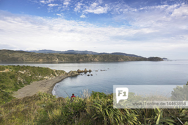 Oruaiti Reserve in Breaker Bay  Wellington  New Zealand  Oceania