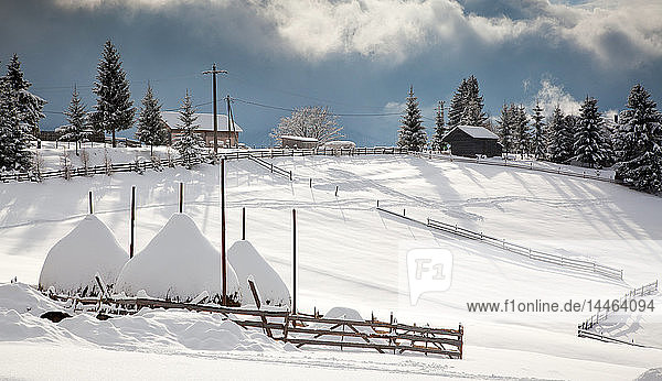 Verschneite Winterlandschaft in den Karpaten  Tihuta-Pass  Rumänien