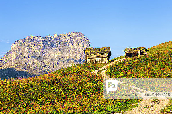 Traditionelle Hütte mit Langkofel im Hintergrund  Grödnerjoch  Grödnertal  Südtirol  Dolomiten  Italien