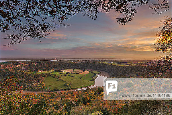 Upper Wyndcliff  River Wye and Severn Estuary  Wye Valley  Monmouthshire  Wales  United Kingdom  Europe