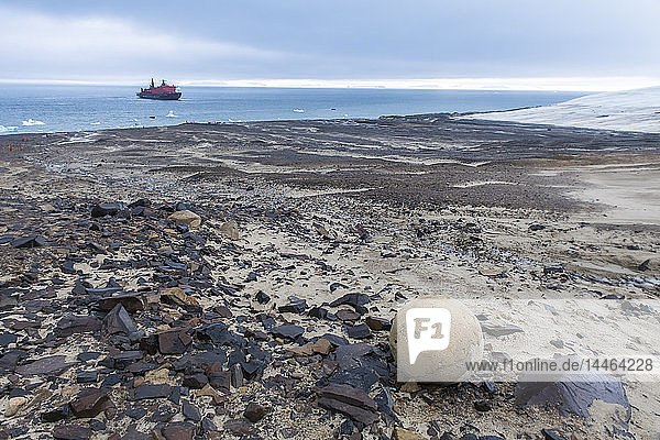 Riesige Steinkugel  Insel Champ  Archipel Franz Josef Land  Gebiet Archangelsk  Arktis  Russland