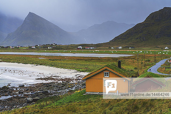 Häuser mit Grasdach am Meer  Fredvang  Landkreis Nordland  Lofoten  Norwegen