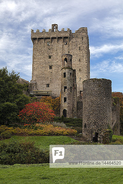 Schloss Bunratty  Grafschaft Cork  Munster  Republik Irland  Europa