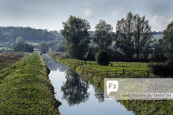 Ein Entwässerungskanal und Ackerland in den Somerset Levels  Ham Wall  Somerset  England  Vereinigtes Königreich