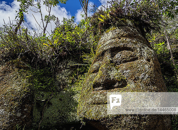 Gesichtsskulptur in Tuffstein  Asilo de la Paz  Hochland der Insel Floreana (Charles)  Galapagos  UNESCO-Weltkulturerbe  Ecuador