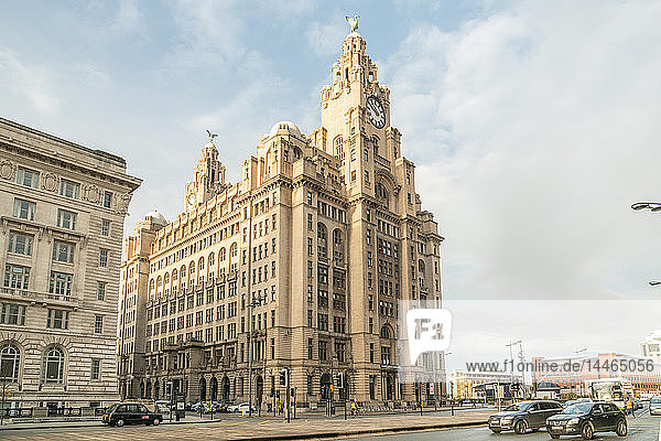 Royal Liver Building in Liverpool  England