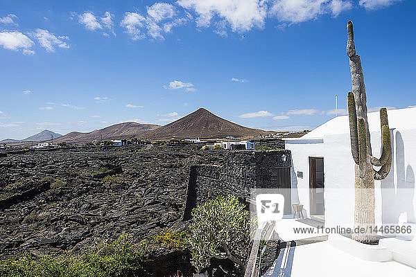 Spanien  Kanarische Inseln  Lanzarote  vulkanische Landschaft mit der Stiftung Cesar Manrique im Vordergrund