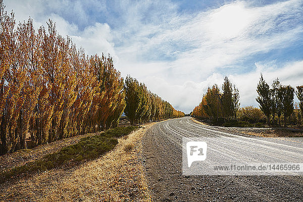 Argentina Lago Posadas gravel road with autumnal trees