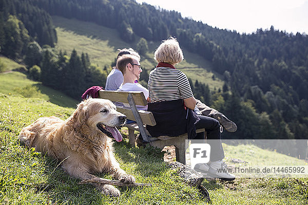 Österreich  Tirol  Kaisergebirge  Wanderer mit Hund  der sich auf einer Bank in den Bergen ausruht
