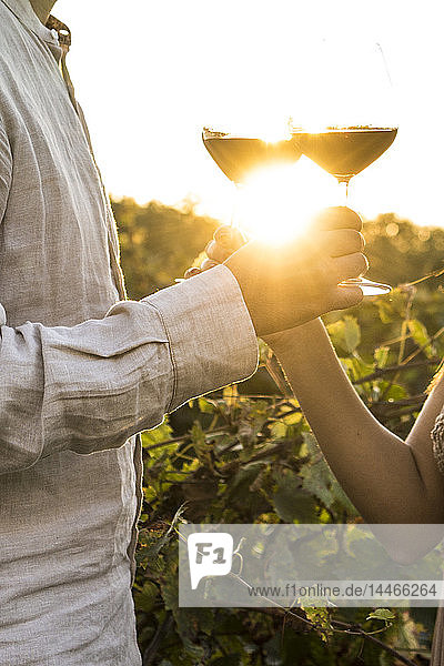 Italien  Toskana  Siena  Nahaufnahme eines Paares  das bei Sonnenuntergang in einem Weinberg Rotweingläser klirrt