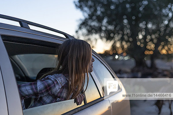 Girl leaning out of car window watching sunset
