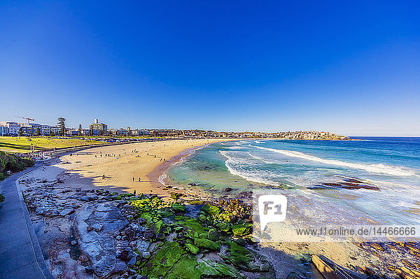 Australia  New South Wales  Sydney  Bondi Beach