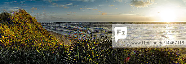 Dänemark Jütland Lokken Dünenlandschaft und Nordsee