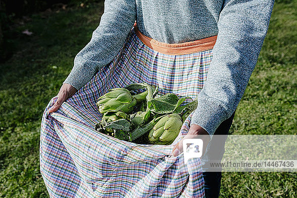 Woman carrying freshly harvested in her apron