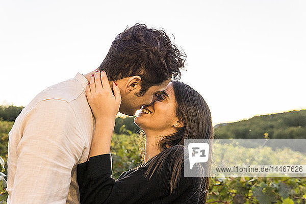 Italien  Toskana  Siena  glückliches junges Paar küsst sich in einem Weinberg