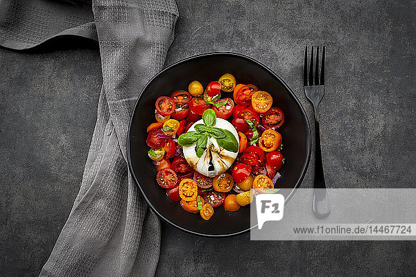 Schüssel Tomatensalat mit Burrata