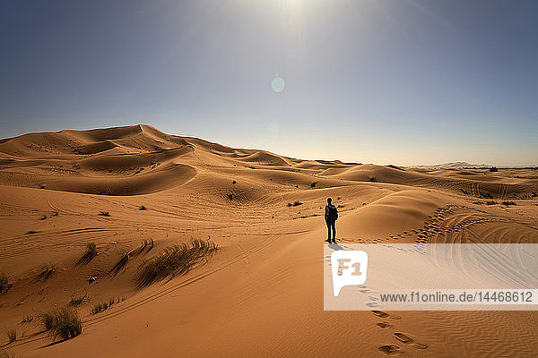 Morocco  man standing on desert dune looking at view