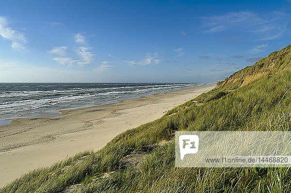 Dänemark Jütland Lokken Dünenlandschaft und Nordsee