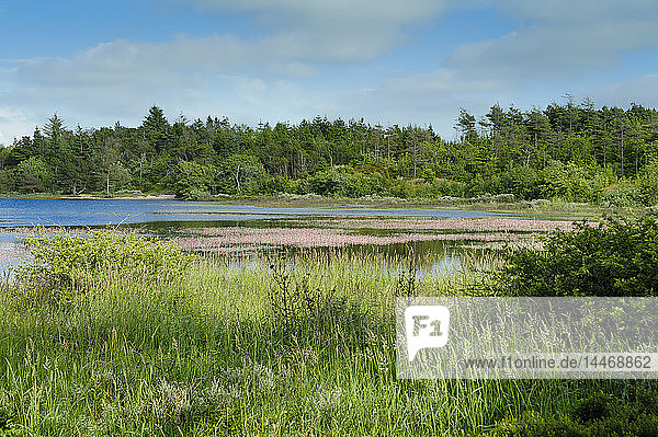 Dänemark Jütland Dein Nationalpark
