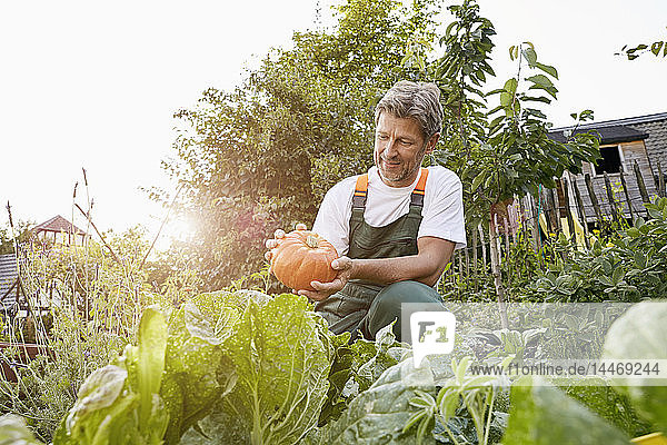 Reifer Mann steht in seinem Garten und trägt eine Schürze