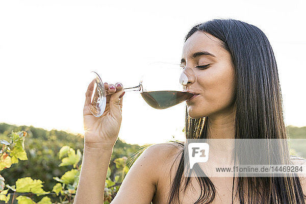 Italien  Toskana  Siena  junge Frau trinkt Rotwein in einem Weinberg bei Sonnenuntergang