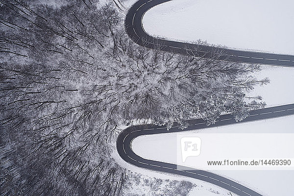 Österreich  Wienerwald  kurvenreiche Straße in schneebedeckter Landschaft  Luftaufnahme