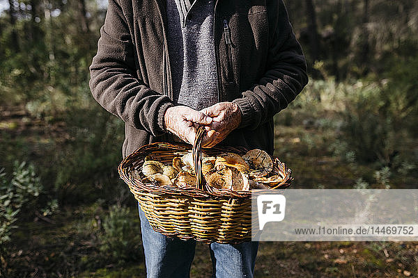 Nahaufnahme eines älteren Mannes mit einem Korb voller Pilze im Wald