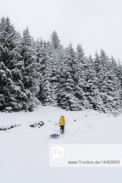 Österreich  Tirol  Thurn  Rückenansicht einer Schlitten ziehenden Frau in schneebedeckter Landschaft