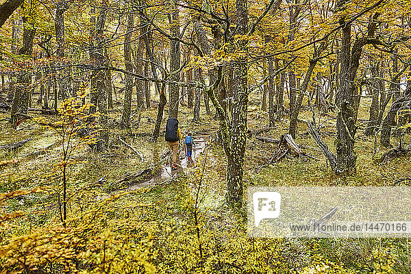 Argentinien Patagonien El Chalten Mutter und Sohn beim Wandern im Herbstwald