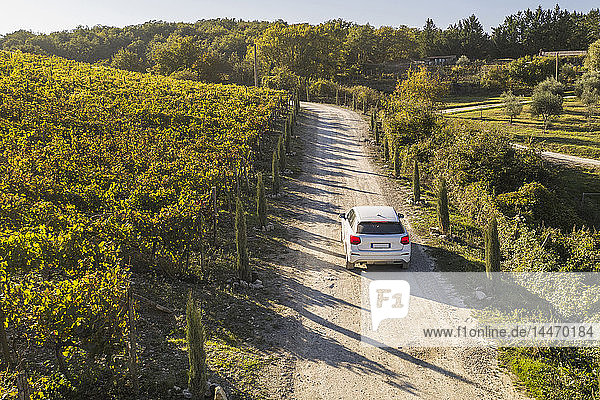 Italien  Toskana  Siena  Autofahrt auf Feldweg durch einen Weinberg