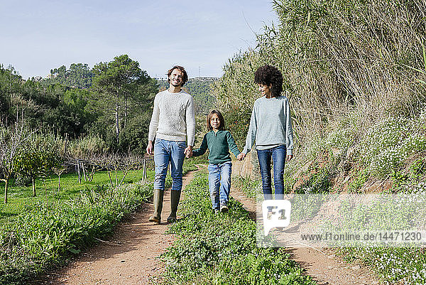 Happy family walking in the countryside  holding hands