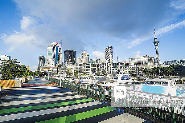 Neuseeland  Auckland  Hafen