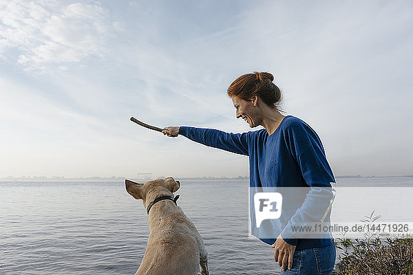 Deutschland  Hamburg  glückliche Frau spielt mit Hund am Strand am Elbufer