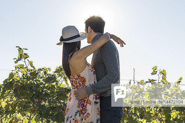 Italien  Toskana  Siena  junges Paar umarmt sich in einem Weinberg
