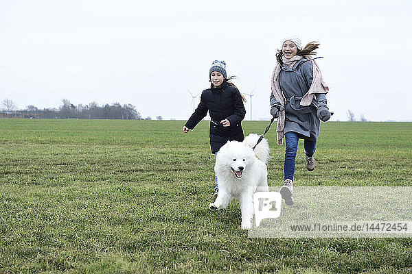 Zwei lachende Mädchen rennen auf einer Wiese mit Hund mit Pilz
