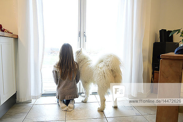 Rückenansicht eines Mädchens und ihres Hundes  die durch eine französische Tür schauen