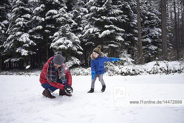 Father and little son having a snowball fight in winter forest
