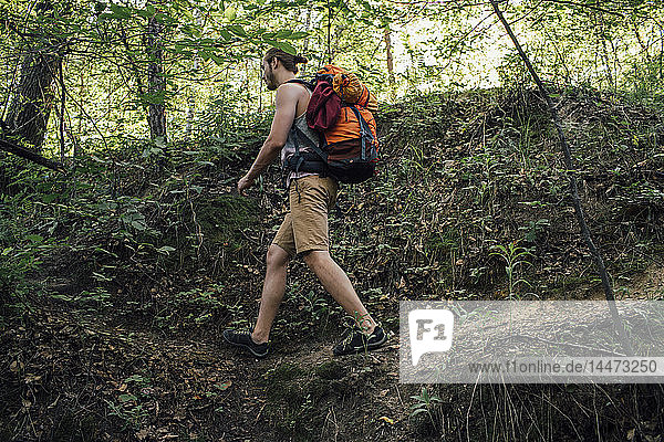 Junger Mann mit Rucksack wandert in einem Wald
