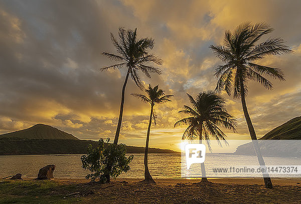 USA  Hawaii  Oahu  Hanauma Bay  toter Vulkankrater