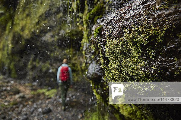 Chile  Patagonien  Vulkan Osorno  Frau beim Wandern am Wasserfall Las Cascadas