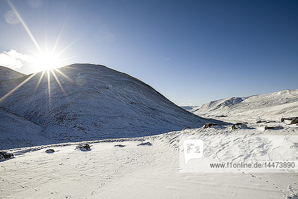 Vereinigtes Königreich  Schottland  Glenshee im Winter gegen die Sonne