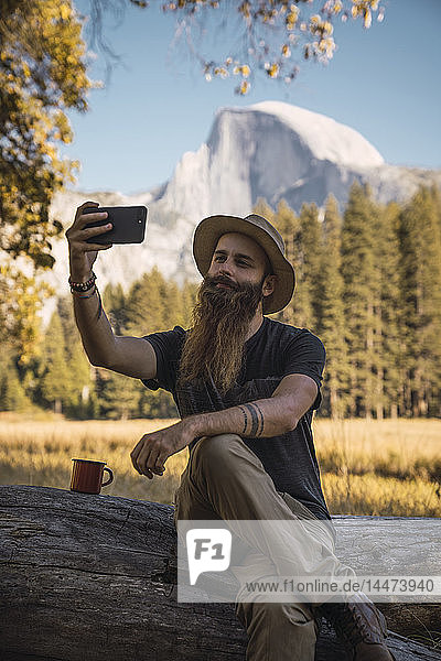 USA  California  bearded man taking a selfie in Yosemite National Park