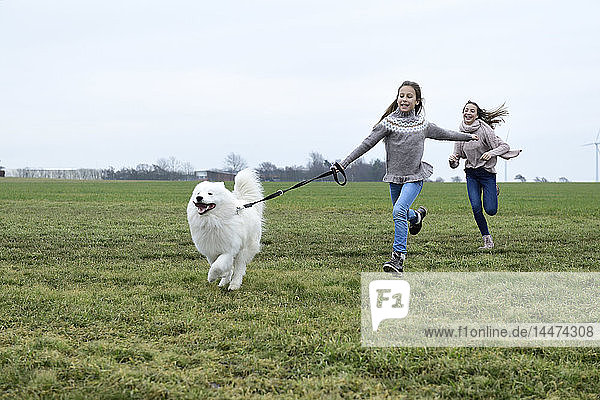 Zwei Mädchen rennen mit Hund auf einer Wiese und amüsieren sich