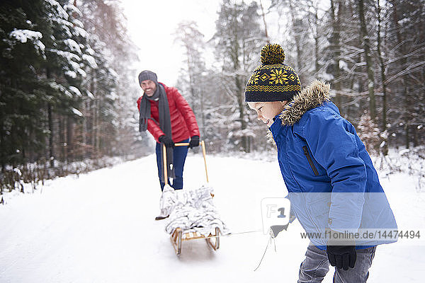 Little boy and his father with sledge in winter forest