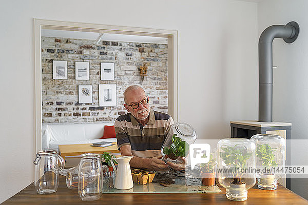 Älterer Mann stellt zu Hause Glasbiotope her