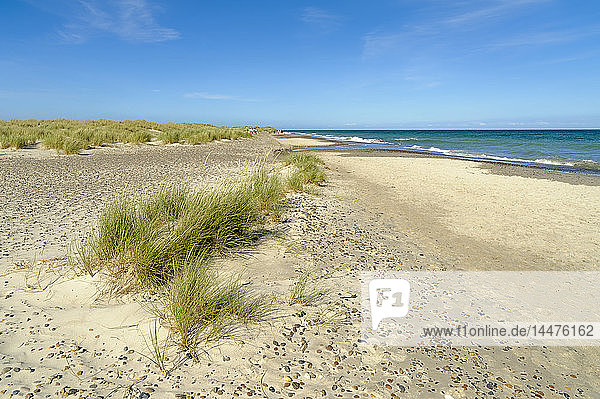Dänemark Jütland Skagen Grenen Dünen Strand und Meer