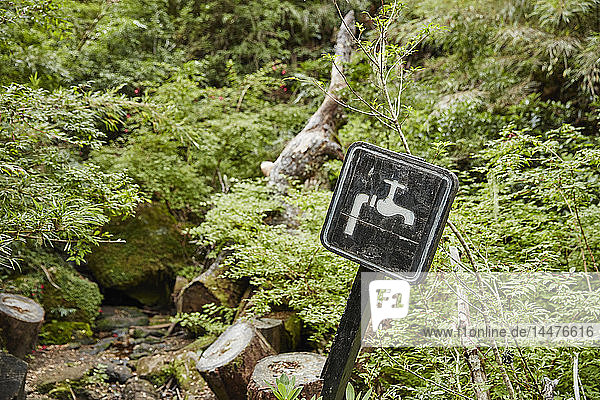 Chile Los Sauces Nahuelbuta-Nationalpark Frühling mit Schild