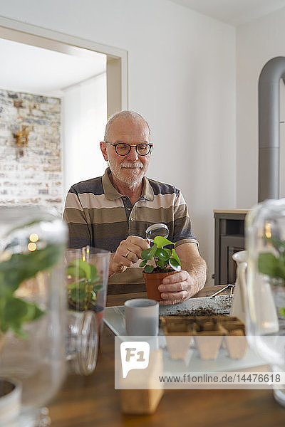 Senior man making glass biotopes at home