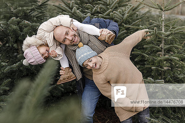 Portrait of happy father with two children on a Christmas tree plantation